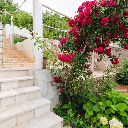 Lena & Lara Lejlighed